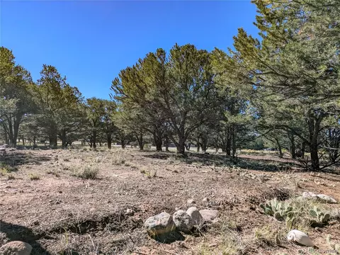 112 Baca Grant Way, Crestone, CO 81131 photo 4