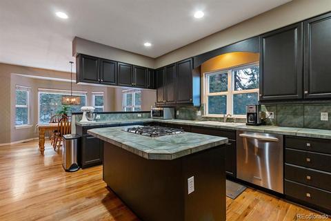 4603 Antelope Trl, Elbert, CO 80106 photo 10