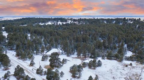 4603 Antelope Trl, Elbert, CO 80106 photo 29