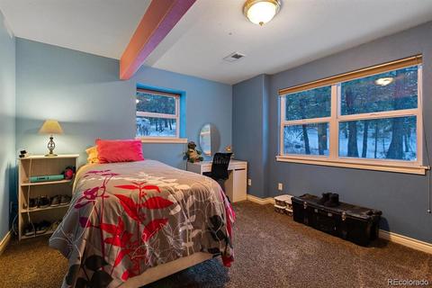 4603 Antelope Trl, Elbert, CO 80106 photo 22