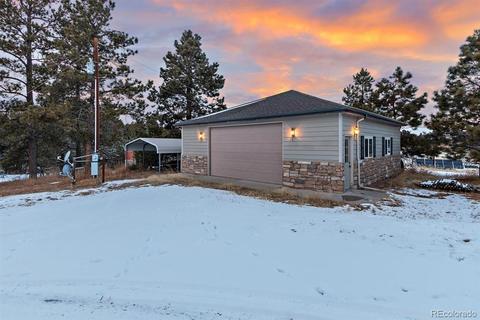 4603 Antelope Trl, Elbert, CO 80106 photo 26