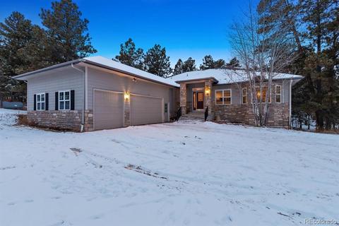 4603 Antelope Trl, Elbert, CO 80106 photo 2