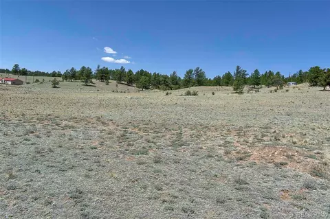 1999 Arapaho Trl, Hartsel, CO 80449