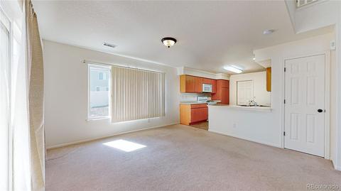 19766 E 50th Ave, Denver, CO 80249 photo 6