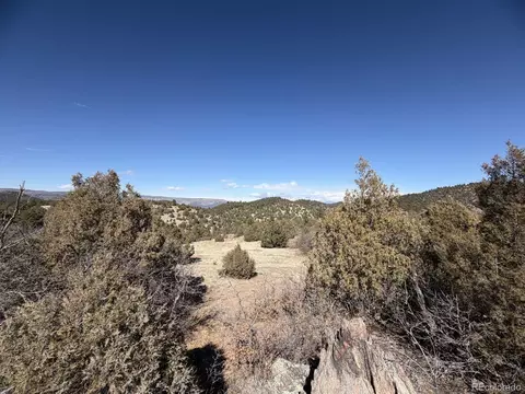 91 King Pl, Cotopaxi, CO 81223 photo 4