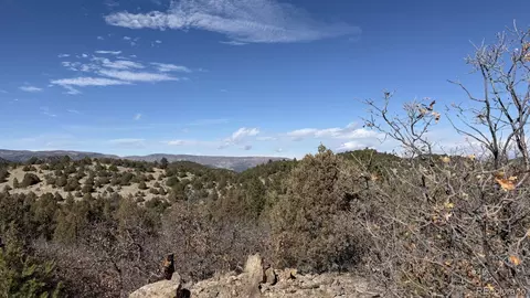 91 King Pl, Cotopaxi, CO 81223 photo 10