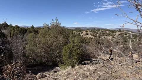 91 King Pl, Cotopaxi, CO 81223 photo 9