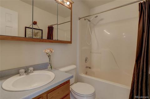 2425 Cherry Way, Parker, CO 80138 photo 29