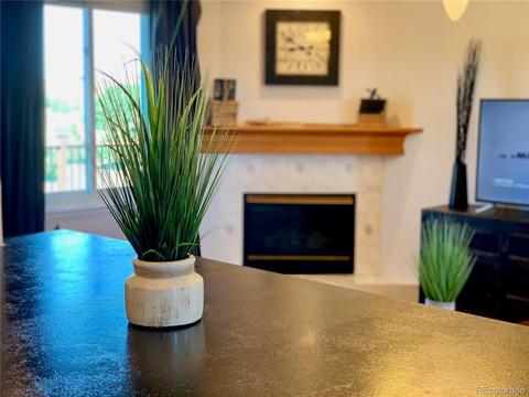 2425 Cherry Way, Parker, CO 80138 photo 14