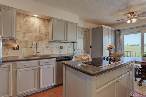 2425 Cherry Way, Parker, CO 80138 photo 11