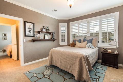 10060 Longview Dr, Lone Tree, CO 80124 photo 24