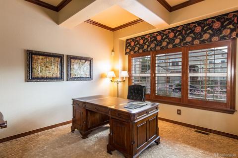10060 Longview Dr, Lone Tree, CO 80124 photo 6