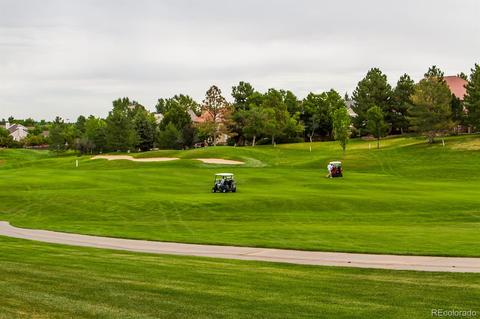10060 Longview Dr, Lone Tree, CO 80124 photo 30
