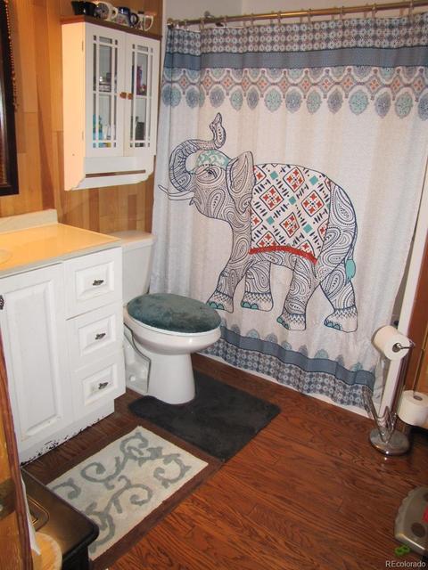 16329 Ouray Rd, Pine, CO 80470 photo 13