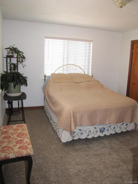 16329 Ouray Rd, Pine, CO 80470 photo 9