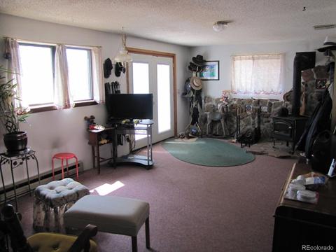 16329 Ouray Rd, Pine, CO 80470 photo 16