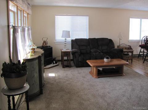 16329 Ouray Rd, Pine, CO 80470 photo 3