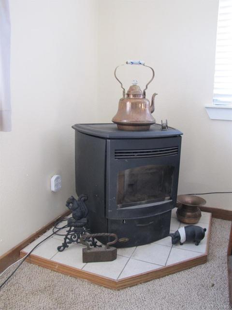 16329 Ouray Rd, Pine, CO 80470 photo 5
