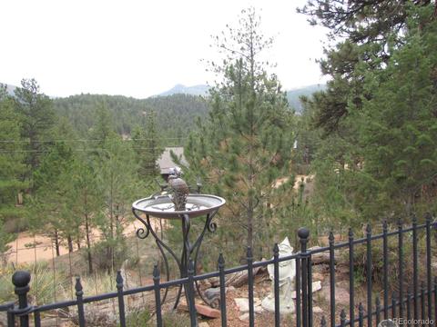 16329 Ouray Rd, Pine, CO 80470 photo 36