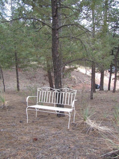 16329 Ouray Rd, Pine, CO 80470 photo 32
