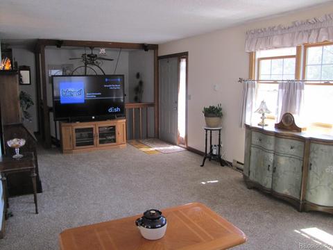 16329 Ouray Rd, Pine, CO 80470 photo 4