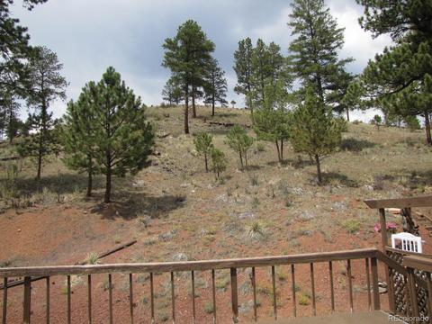 16329 Ouray Rd, Pine, CO 80470 photo 26