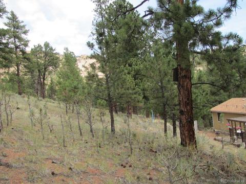 16329 Ouray Rd, Pine, CO 80470 photo 29