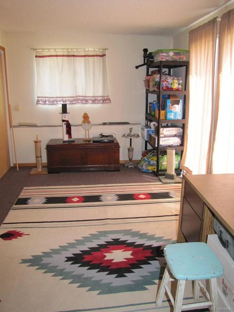 16329 Ouray Rd, Pine, CO 80470 photo 20