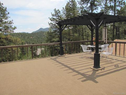 16329 Ouray Rd, Pine, CO 80470 photo 23