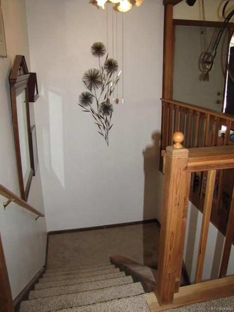 16329 Ouray Rd, Pine, CO 80470 photo 14