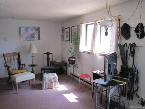 16329 Ouray Rd, Pine, CO 80470 photo 15