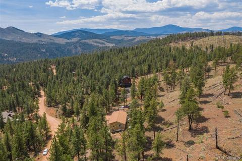 16329 Ouray Rd, Pine, CO 80470 photo 39