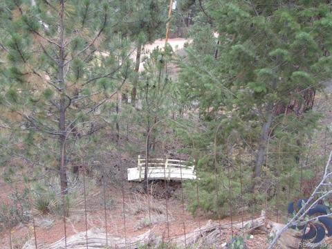 16329 Ouray Rd, Pine, CO 80470 photo 37
