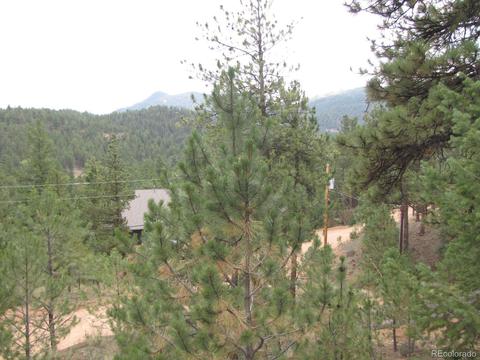 16329 Ouray Rd, Pine, CO 80470 photo 38