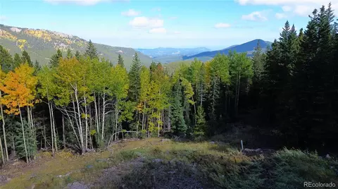 429 Sawmill Ln, Idaho Springs, CO 80452