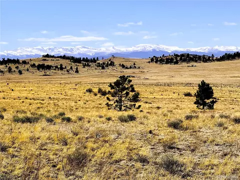 lot77 Black Bear Rd, Hartsel, CO 80449
