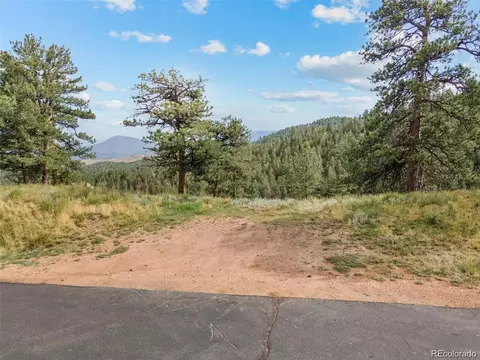 13817 Gordon Ct, Pine, CO 80470 photo 5