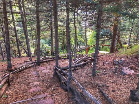 55 Ruby Ln, La Veta, CO 81055 photo 33