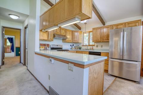 8529 S Jay Ln, Morrison, CO 80465 photo 9
