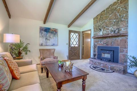 8529 S Jay Ln, Morrison, CO 80465 photo 7