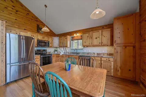 153 Wise Rd, Bailey, CO 80421 photo 11