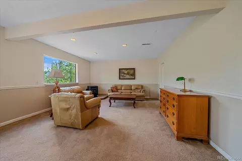 153 Wise Rd, Bailey, CO 80421 photo 18