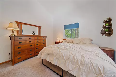 153 Wise Rd, Bailey, CO 80421 photo 15