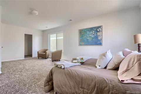 21246 E 49th Pl, Denver, CO 80249 photo 24