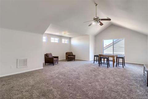 21246 E 49th Pl, Denver, CO 80249 photo 30