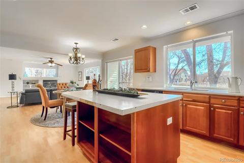 21246 E 49th Pl, Denver, CO 80249 photo 10