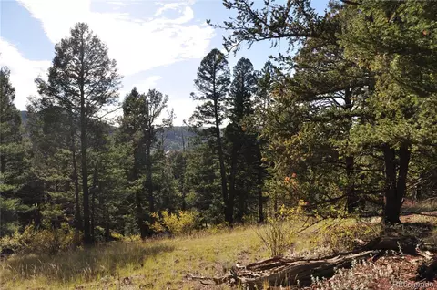 445 Bennett Dr, Cripple Creek, CO 80813
