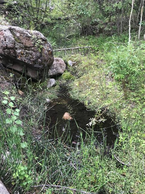 16139 Cochise Trl, Pine, CO 80470 photo 9