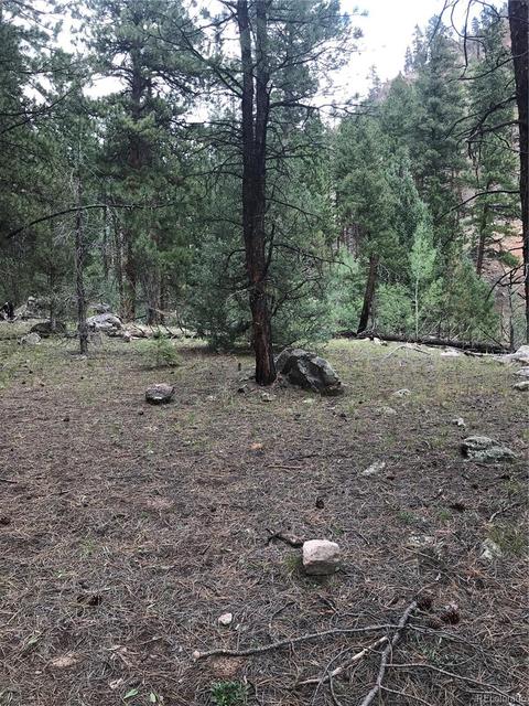 16139 Cochise Trl, Pine, CO 80470 photo 14