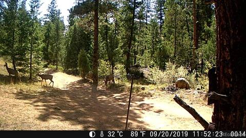16139 Cochise Trl, Pine, CO 80470 photo 29